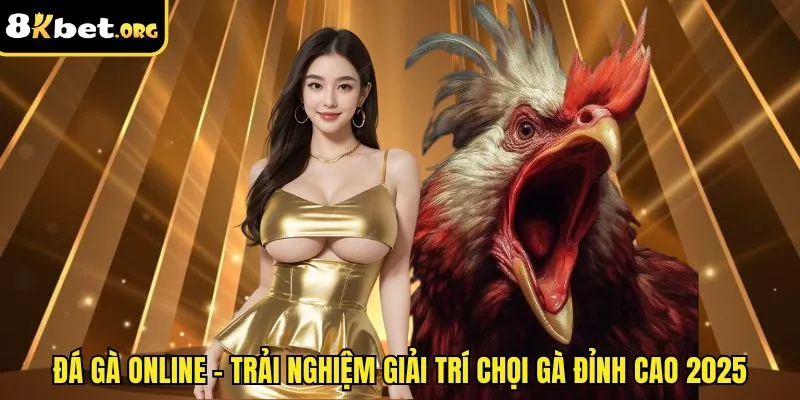 Đá Gà Online 8kbet - Kết Nối Mọi Trường Gà Châu Á Uy Tín, Xanh Chín