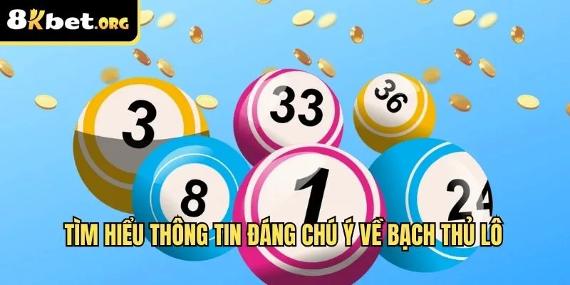 Tìm hiểu thông tin đáng chú ý về bạch thủ lô